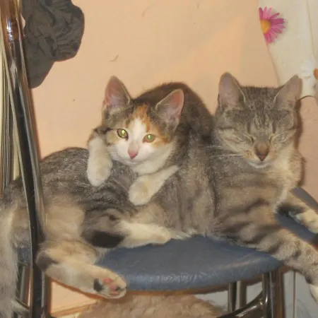 Danusia Władysławowo