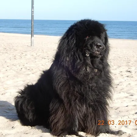 Kwatera prywatna Danusia *