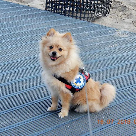 Danusia Władysławowo