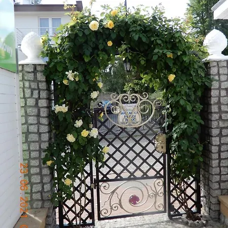 Danusia Władysławowo