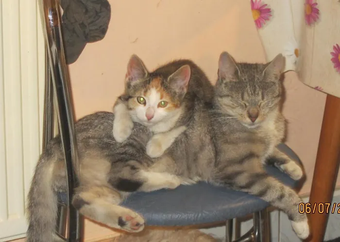 Danusia Władysławowo