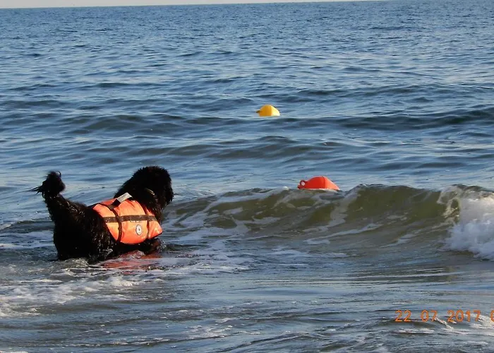 Homestay szállás Danusia Władysławowo