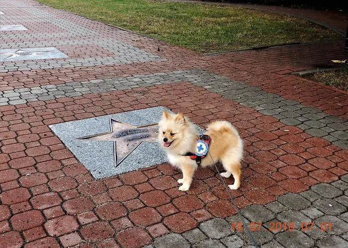 Homestay szállás Danusia Władysławowo