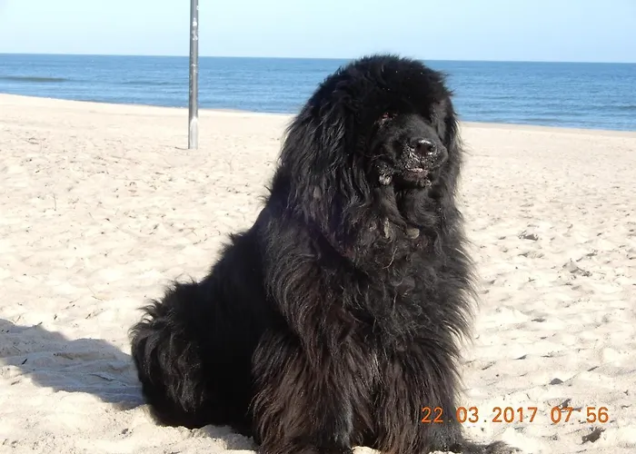 Homestay szállás Danusia *