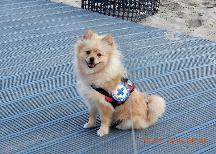 Danusia Władysławowo