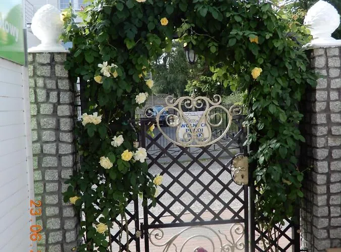 Danusia Władysławowo